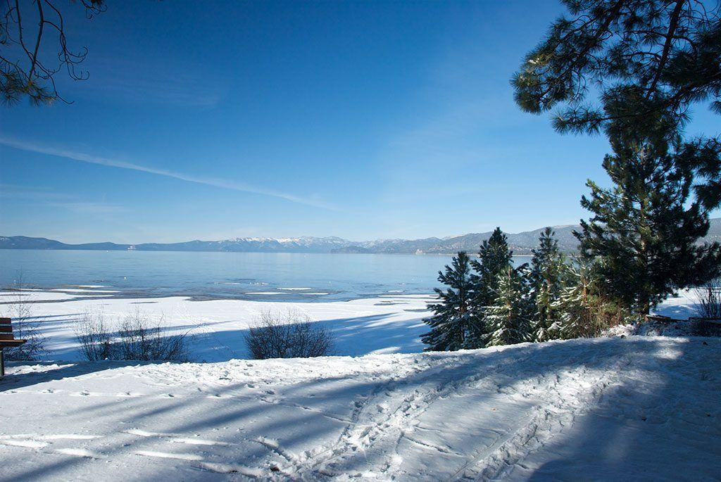 Snowy landscape with a blue lake under a clear sky. Evergreen trees on the right.