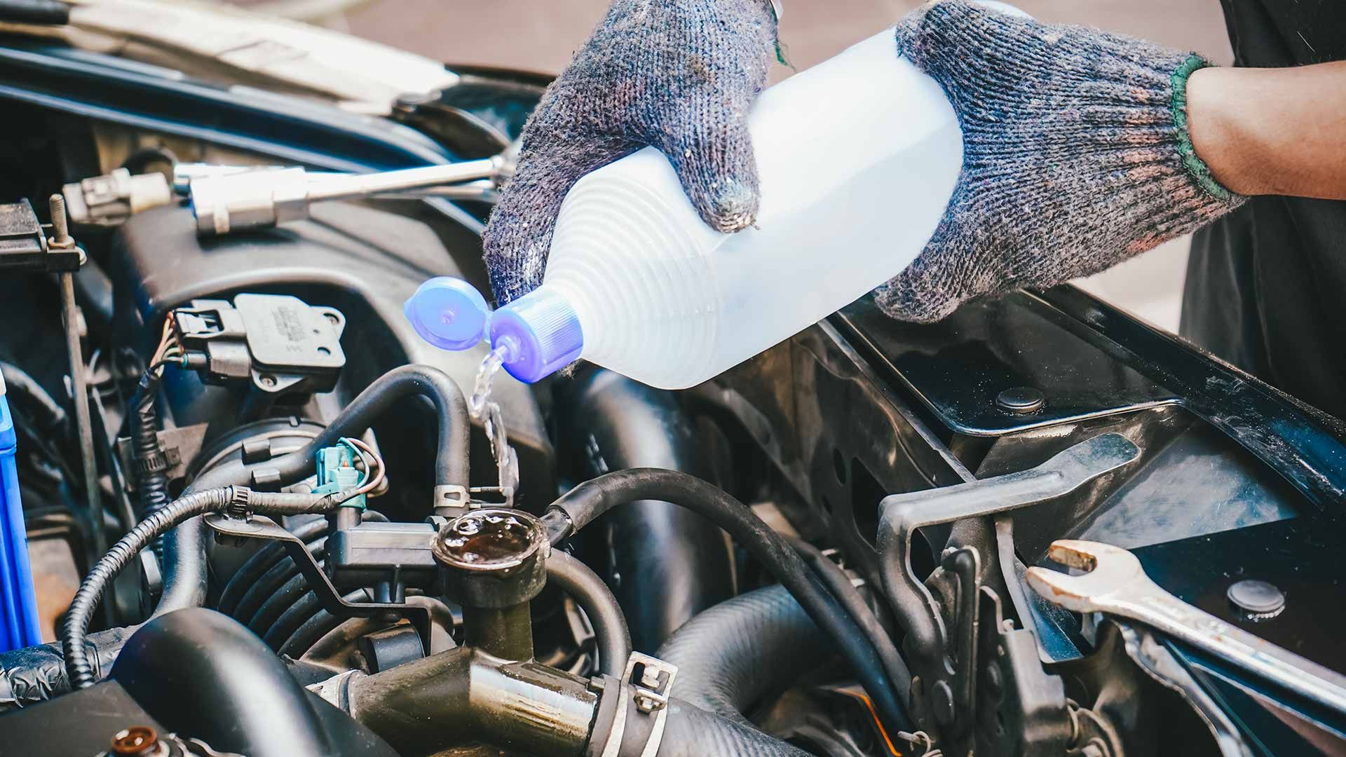 A Person Is Pouring Water Into a Car Engine — Steve Purse Automotive In Jervis Bay, NSW
