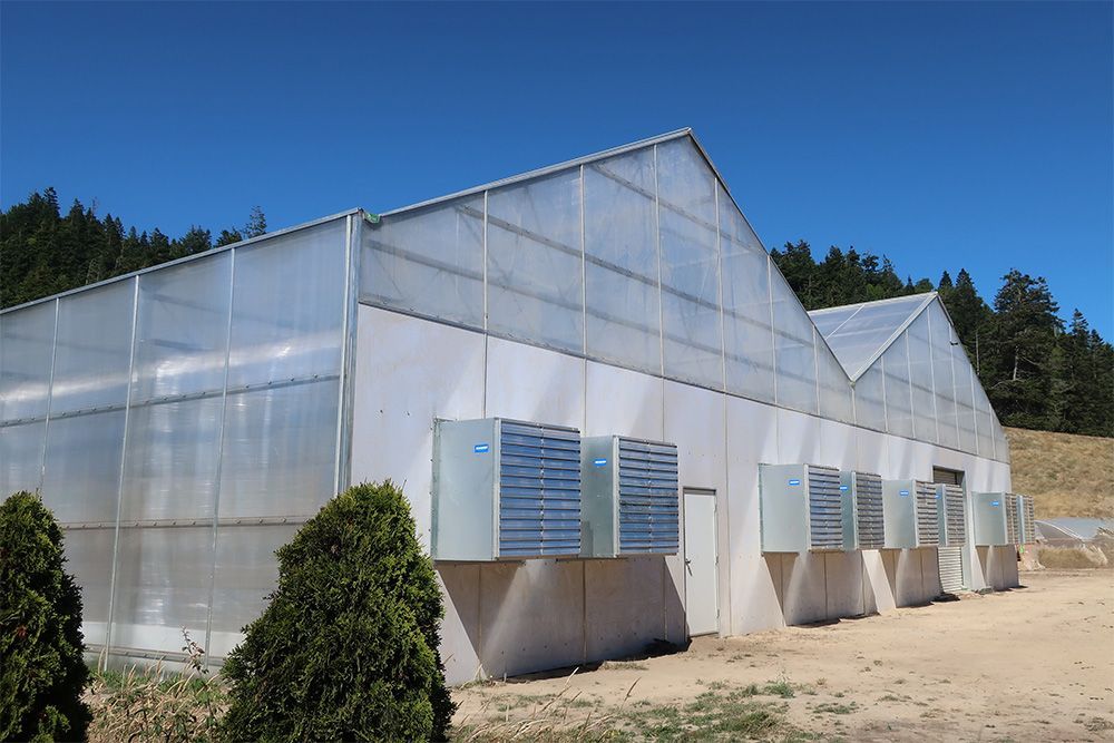 A&A Engineering - Multi-Bay Greenhouse image 2