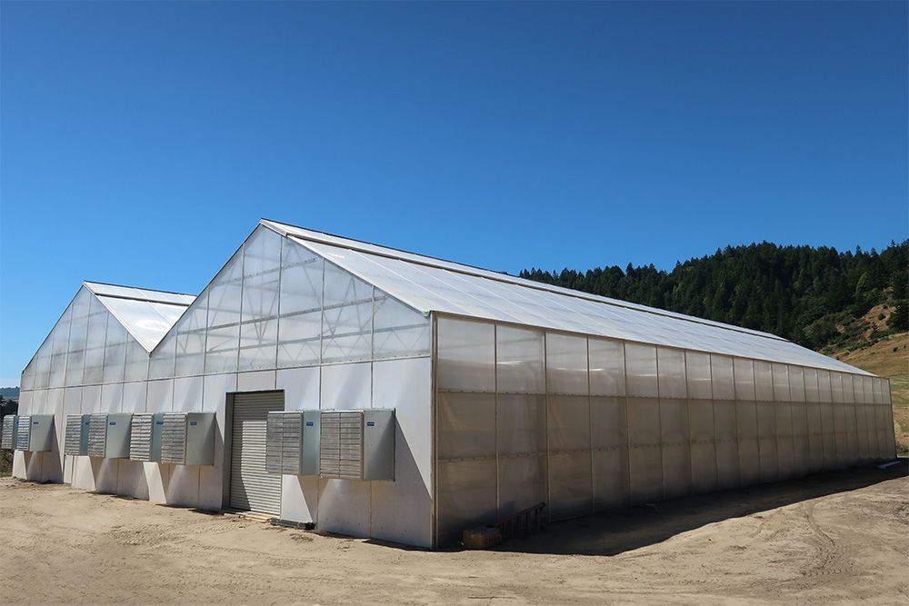 A&A Engineering - Multi-Bay Greenhouse image 3