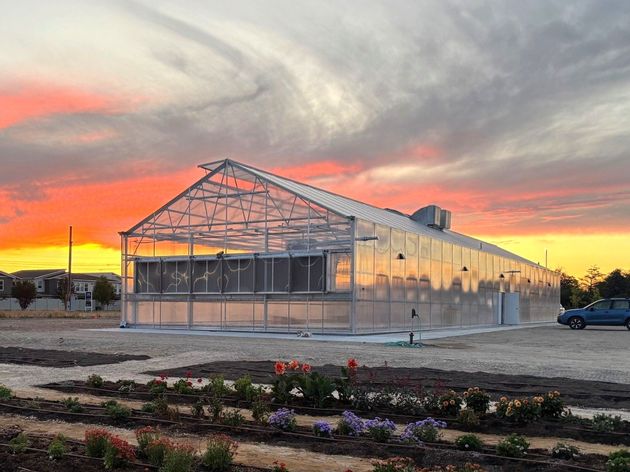 A&A Engineering - Greenhouses -Commercial, Single/Multi-Bay, Freestanding, Matterhorn, and Hobby