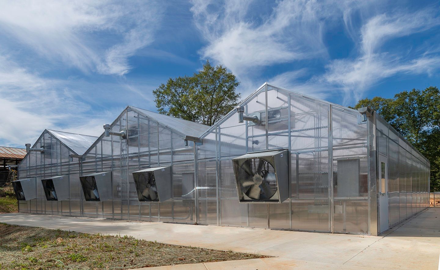 A&A Engineering - Commercial Greenhouse image 1