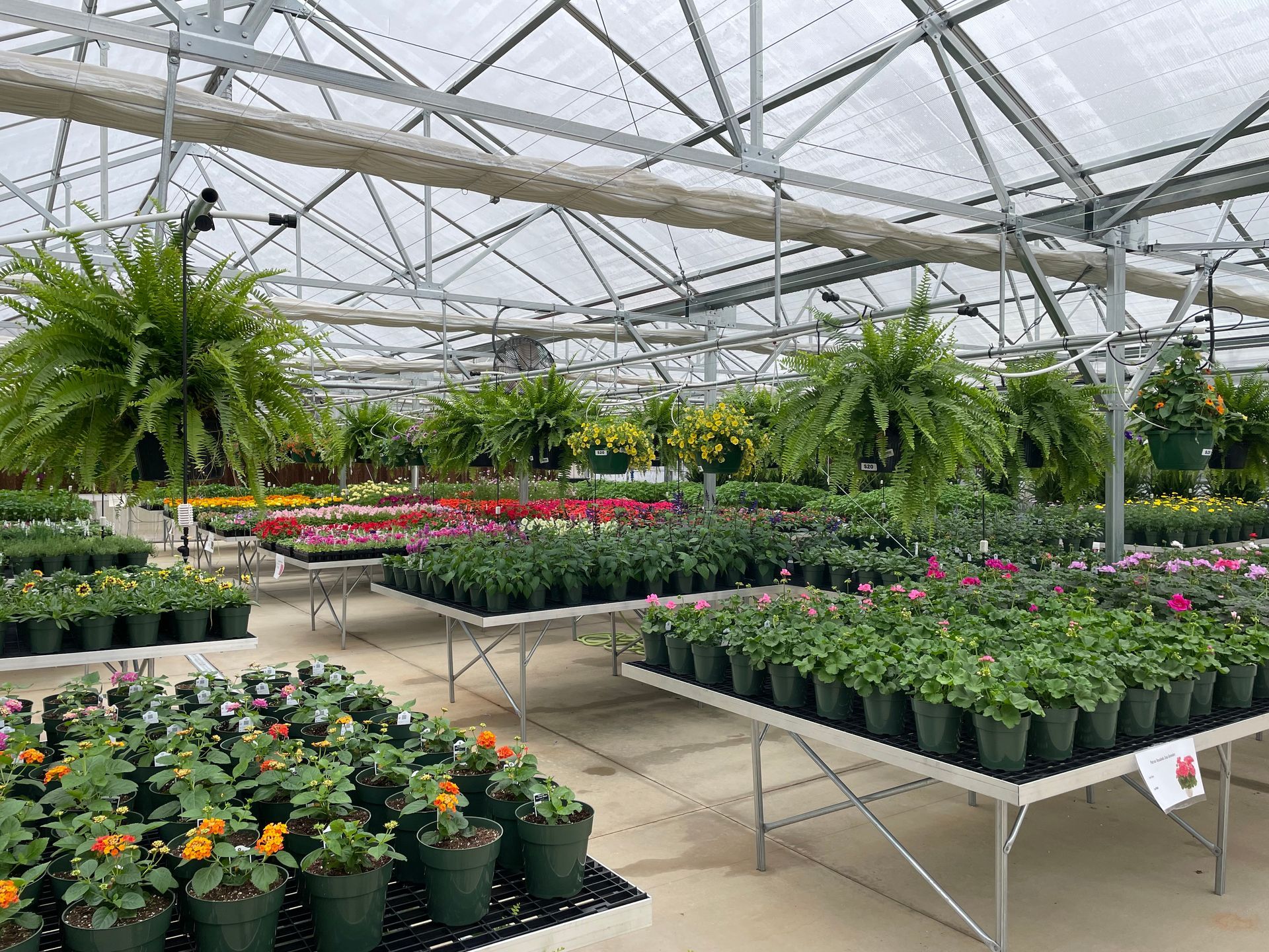 A&A Engineering - Commercial Greenhouse image 2