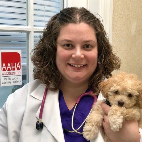 Heather Hoglund, DVM - Veterinarians in Rahway, NJ