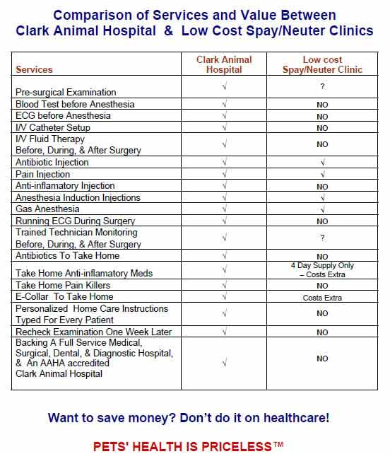 how much does dog anesthesia cost