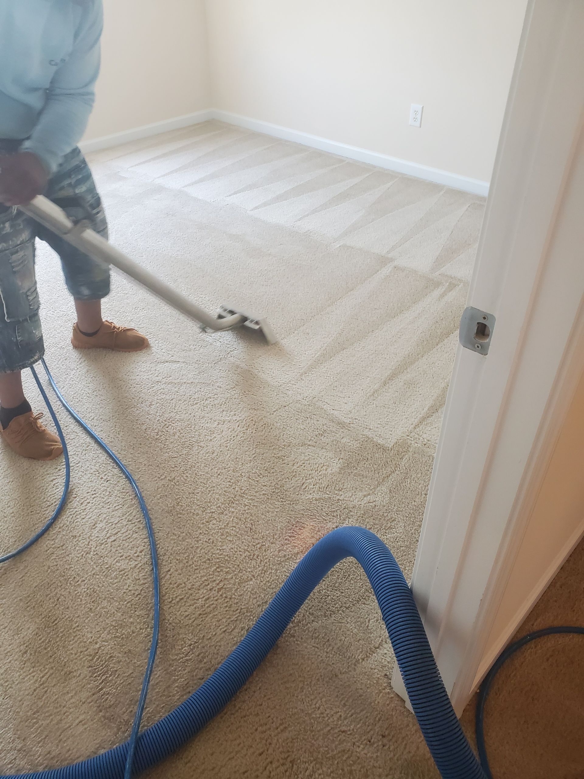 carpet steam cleaning