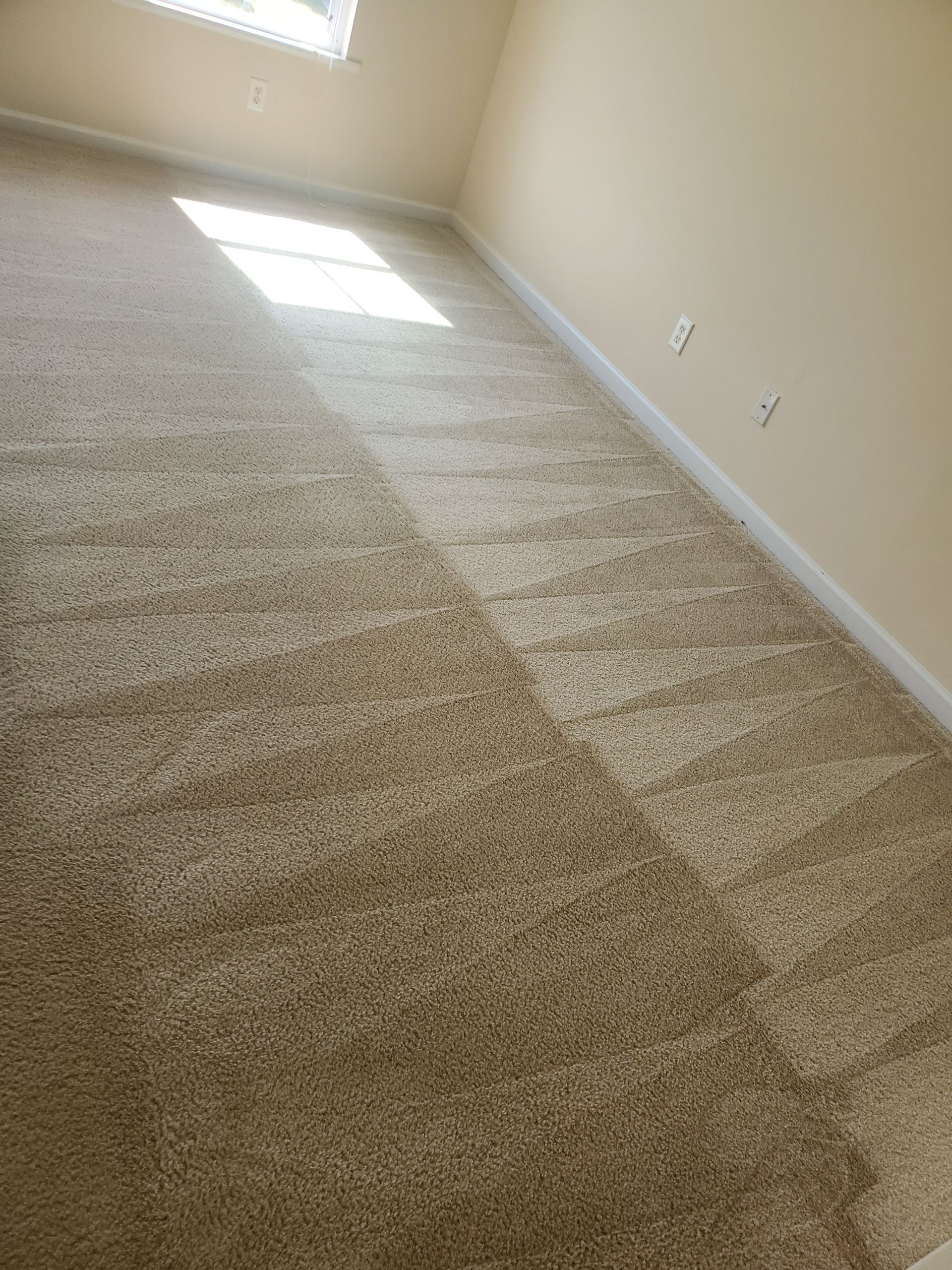 clean carpet