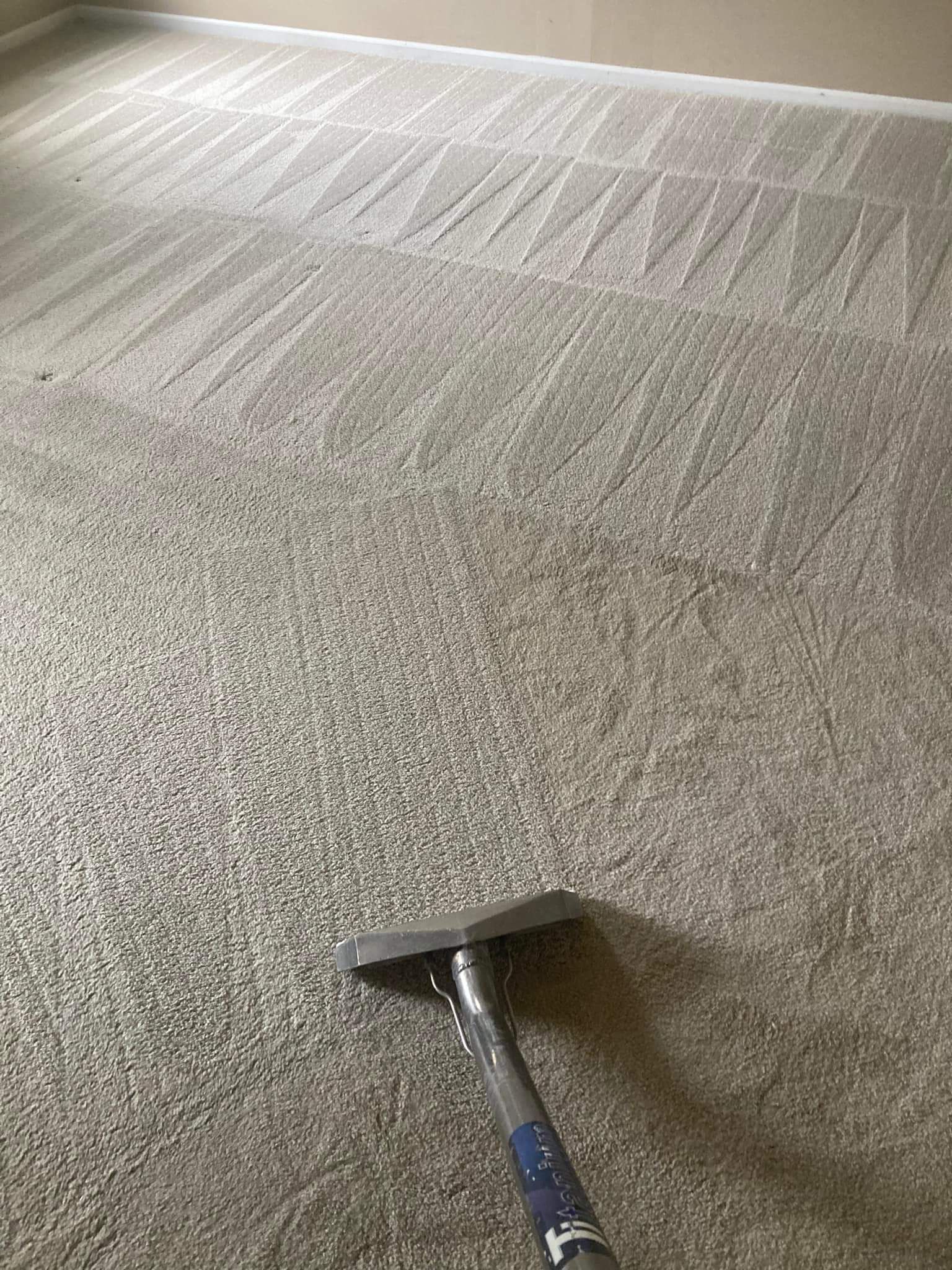 carpet cleaning