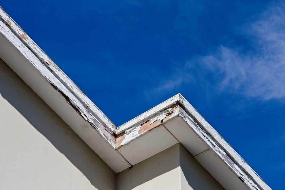 Consisting Rotting Fascia Boards — Gutter & Roof Repairs in Wollongong, NSW