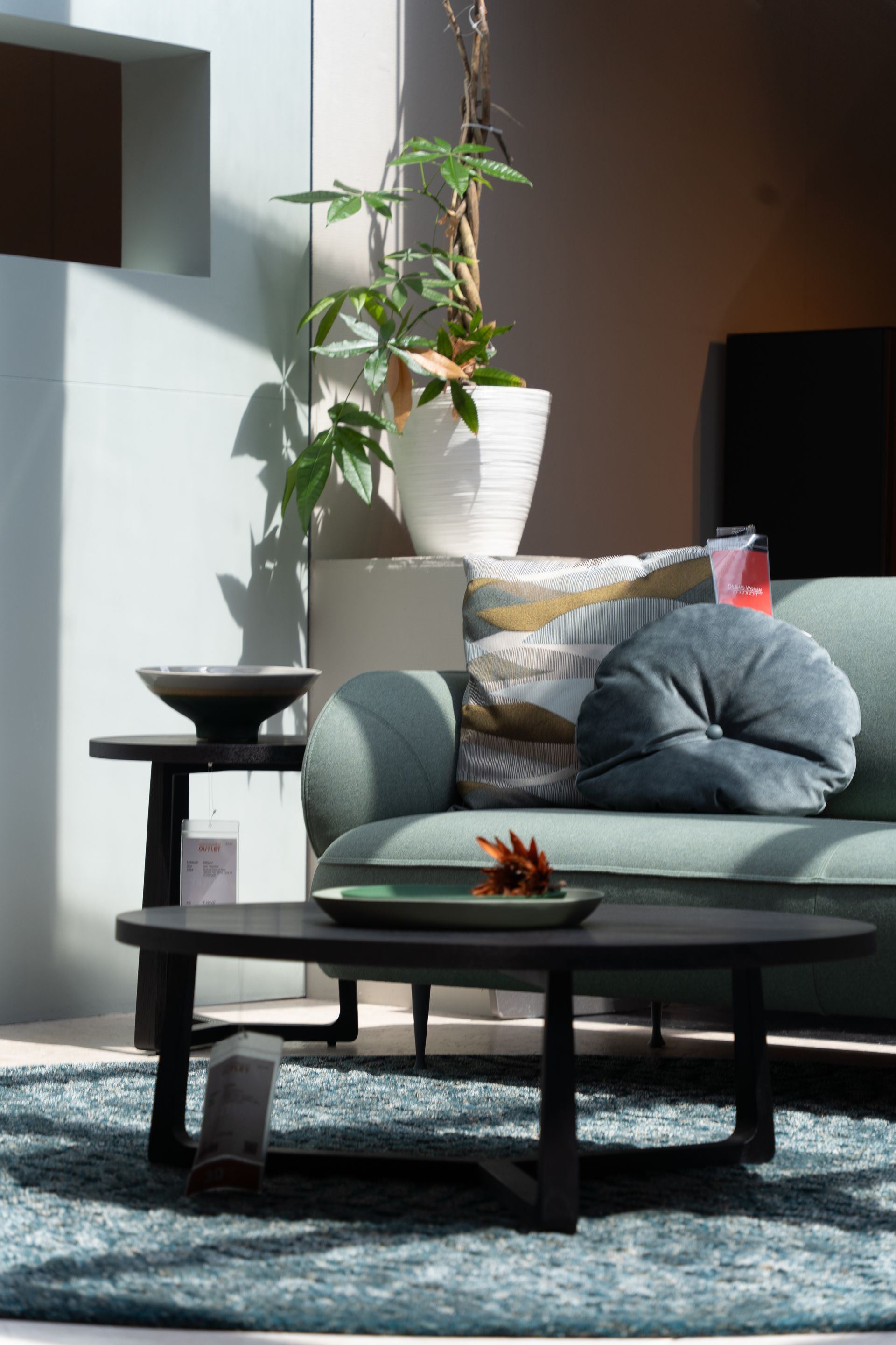 Living room with green sofa, black tables, and potted plant.