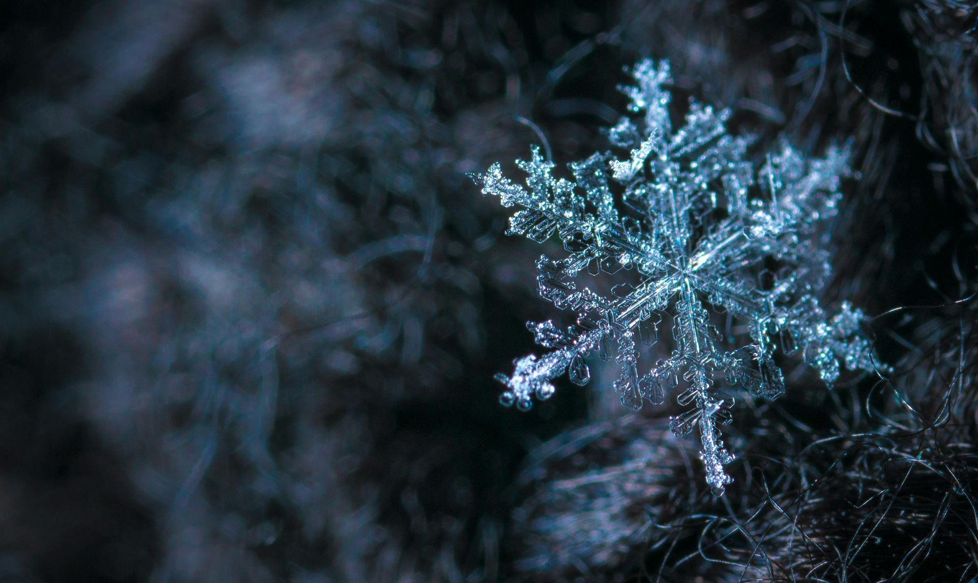 Snowflake with intricate crystalline structure on dark, textured surface.