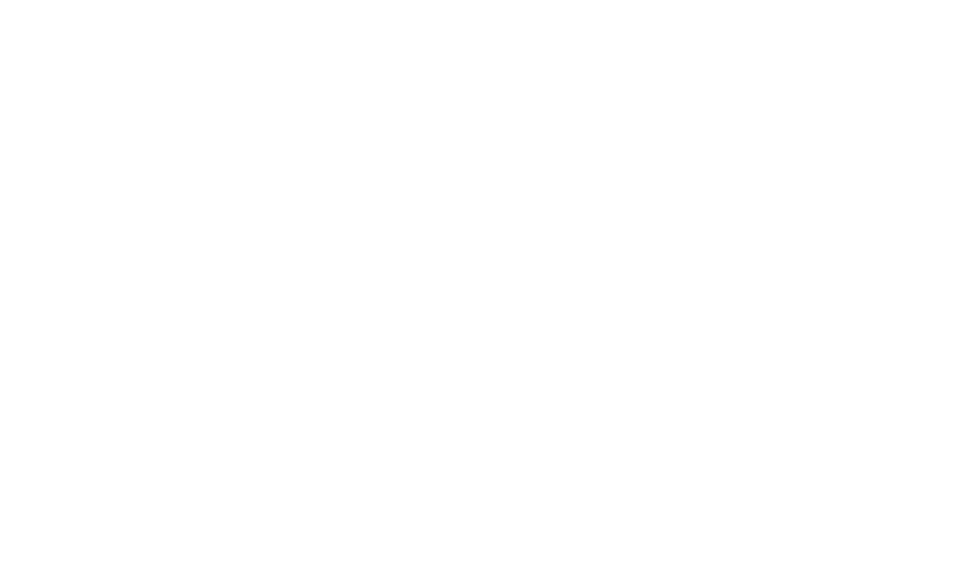 Raven Cleaning Company Logo