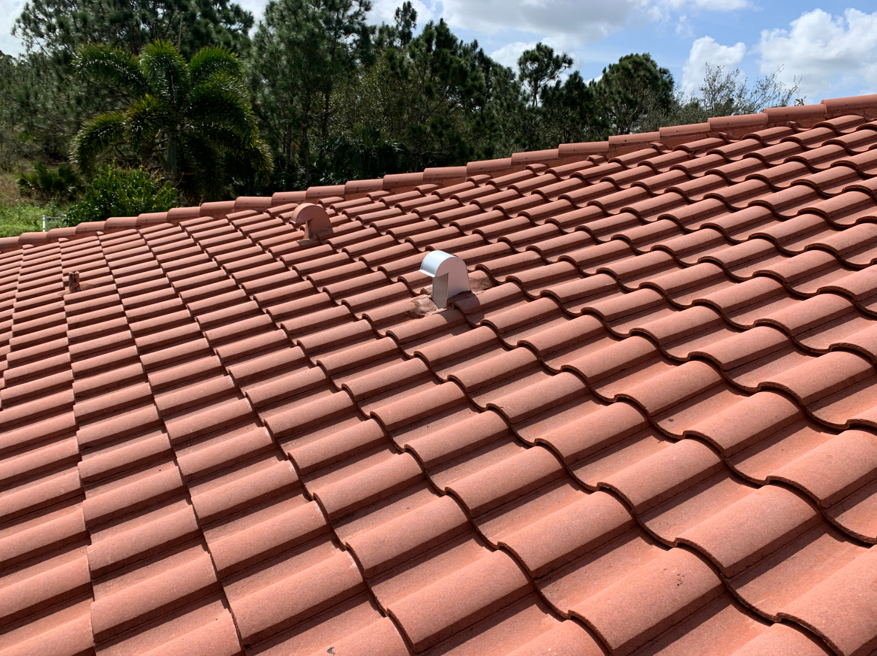 A close up of a tiled roof with trees in the background.