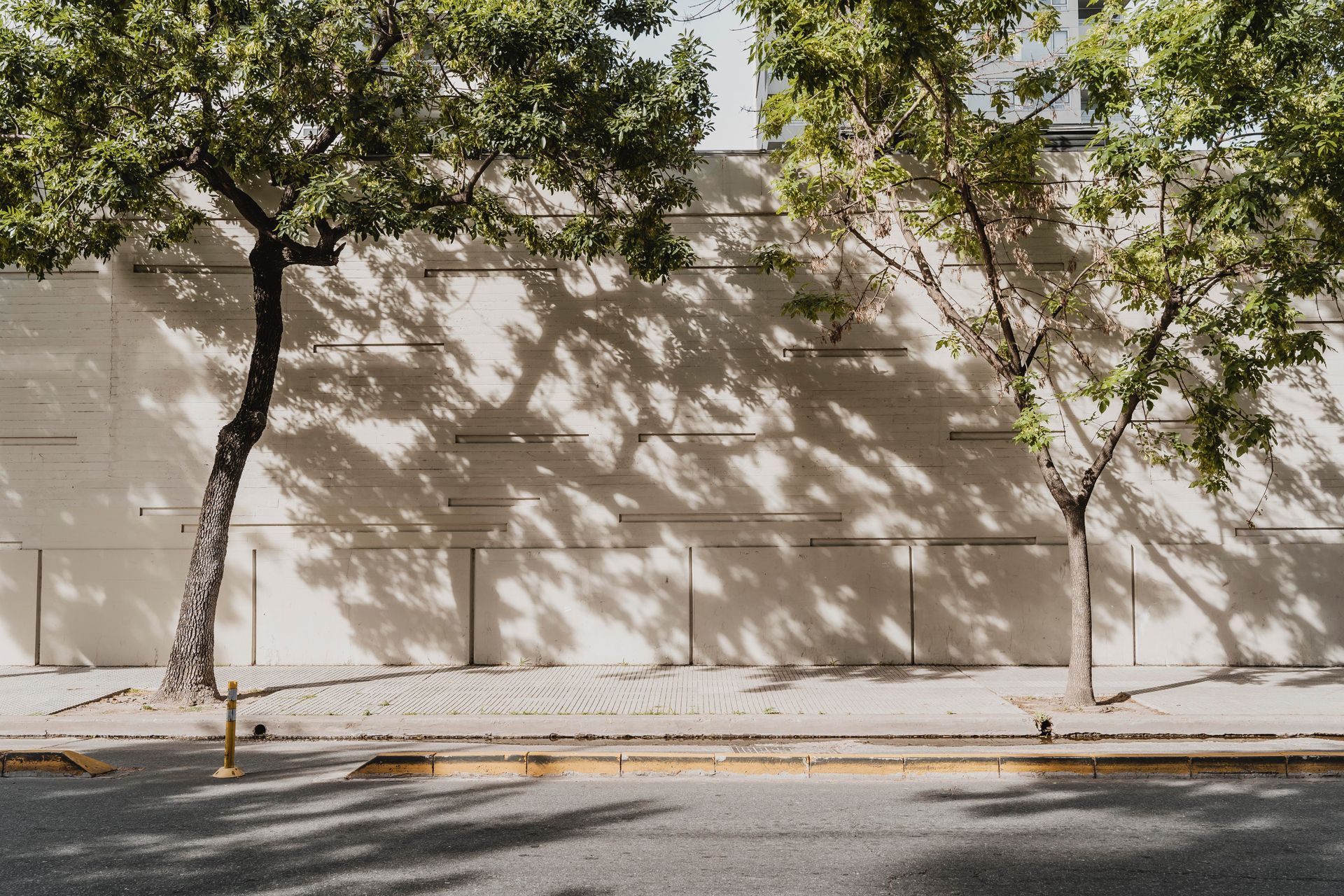 Residential view of a sidewalk with trees