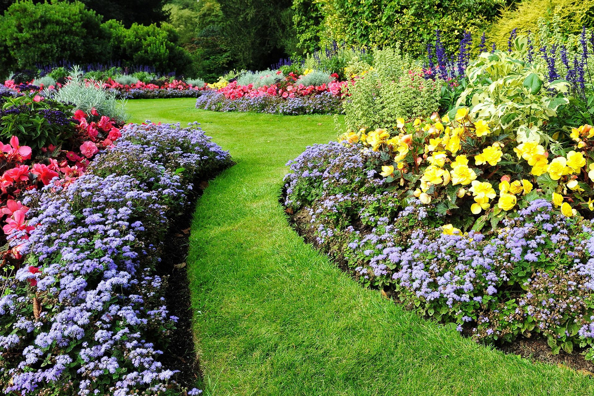 Pruning Tree With Secateurs