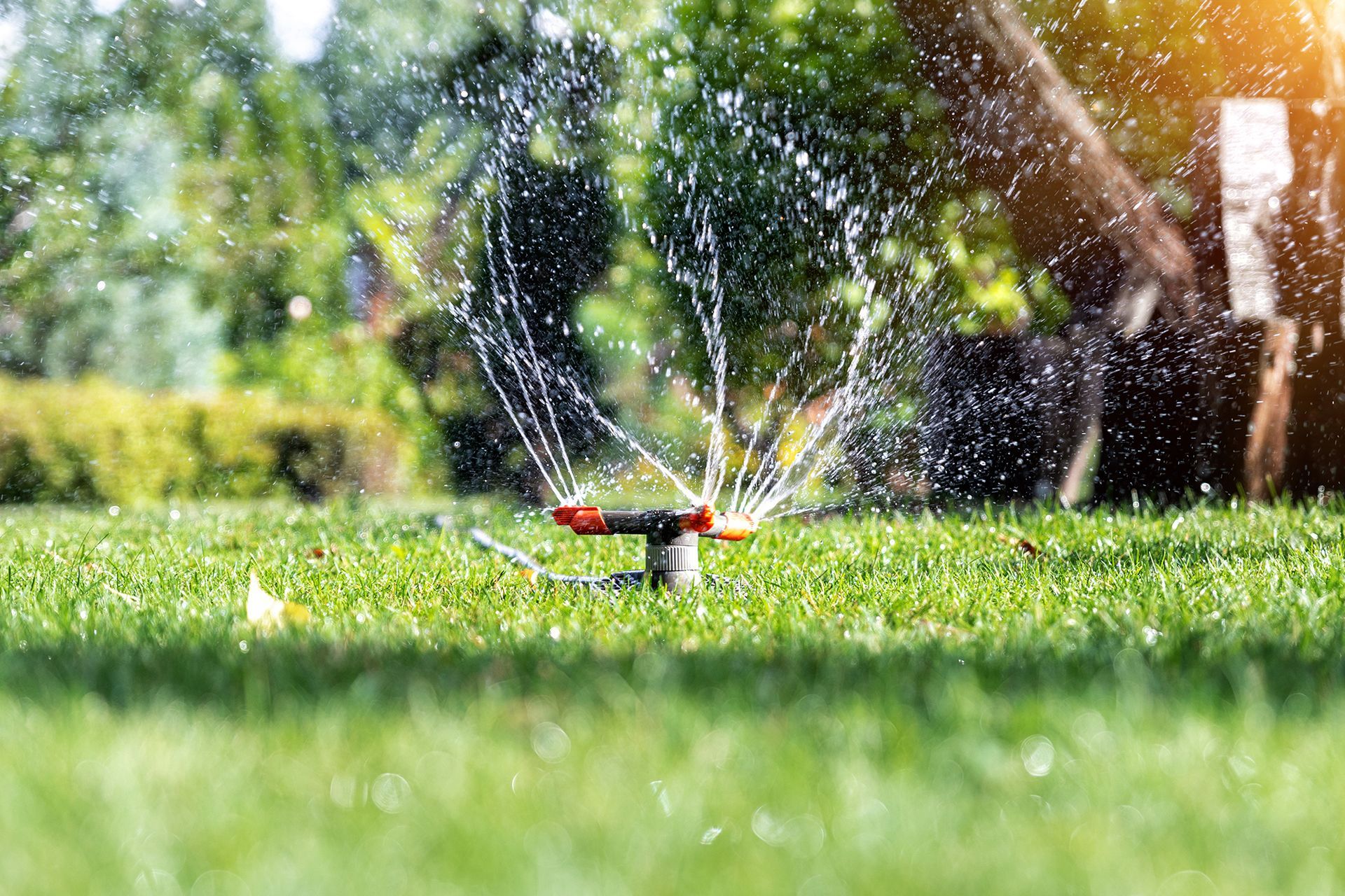 Sprinkler Spraying Water on a Lush Green Lawn