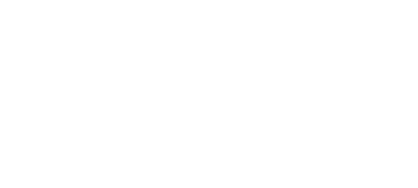 DD Elite Landscaping