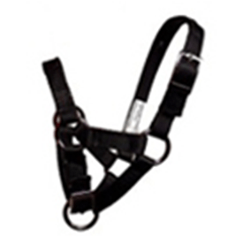 Grooming and Apparel