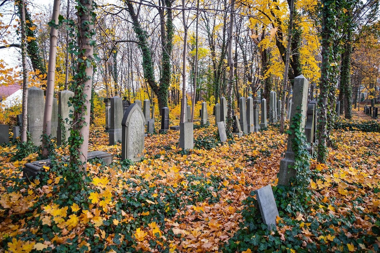 CemeteryPicture of a cemetery, during fall with a lot of orange and yellowleaves on the floor