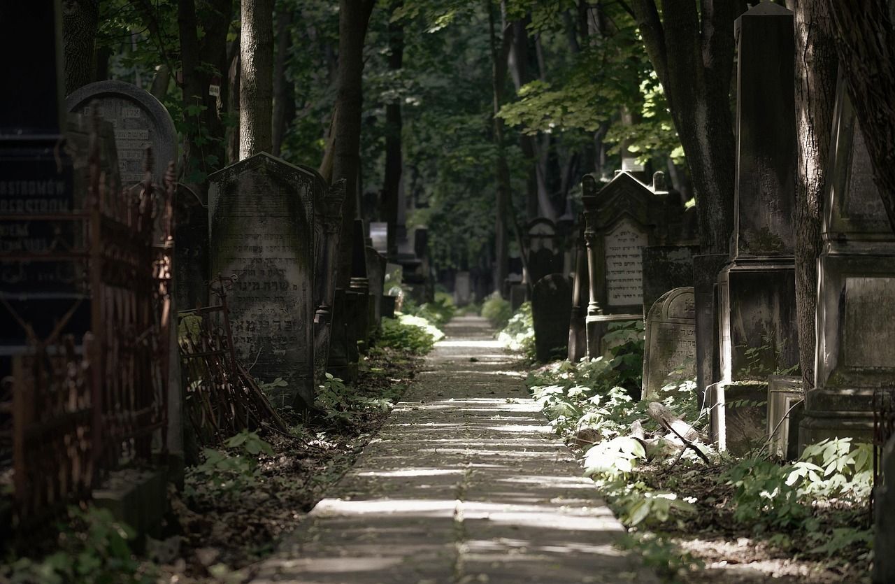 Hallway in the middle of a cemetery with plans and tombs