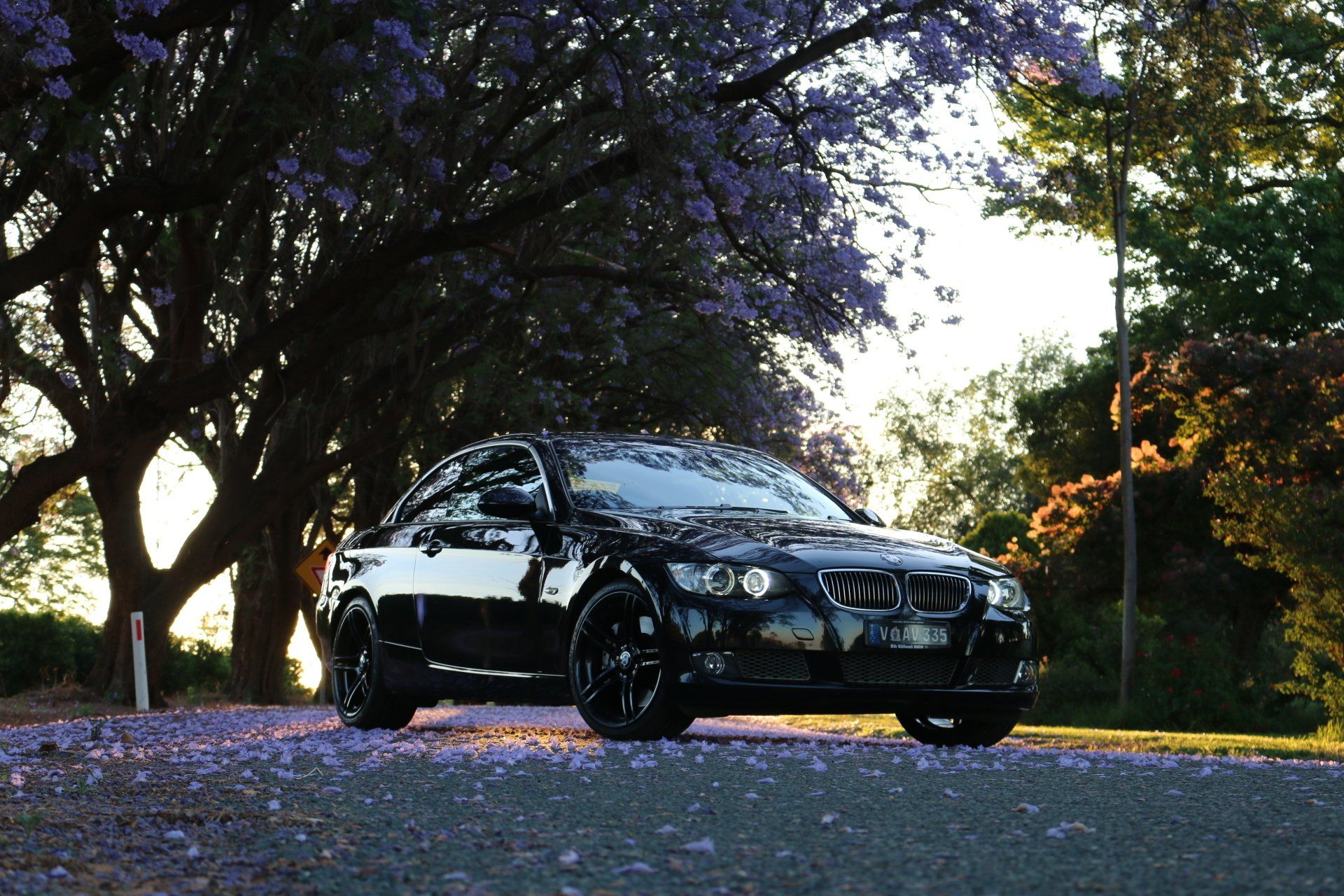 A black bmw is parked under a tree with purple flowers on the ground
