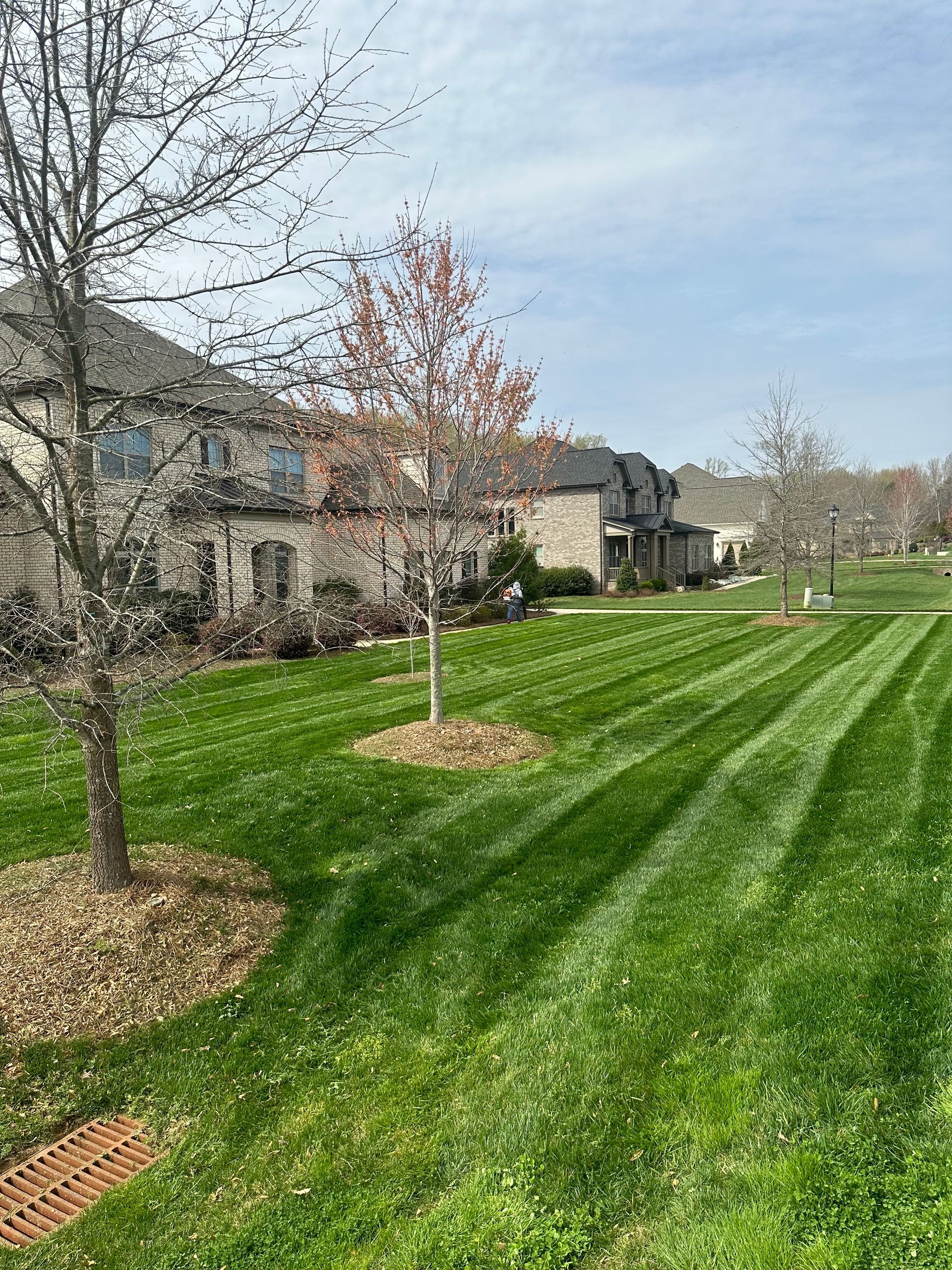 lawn maintenance services