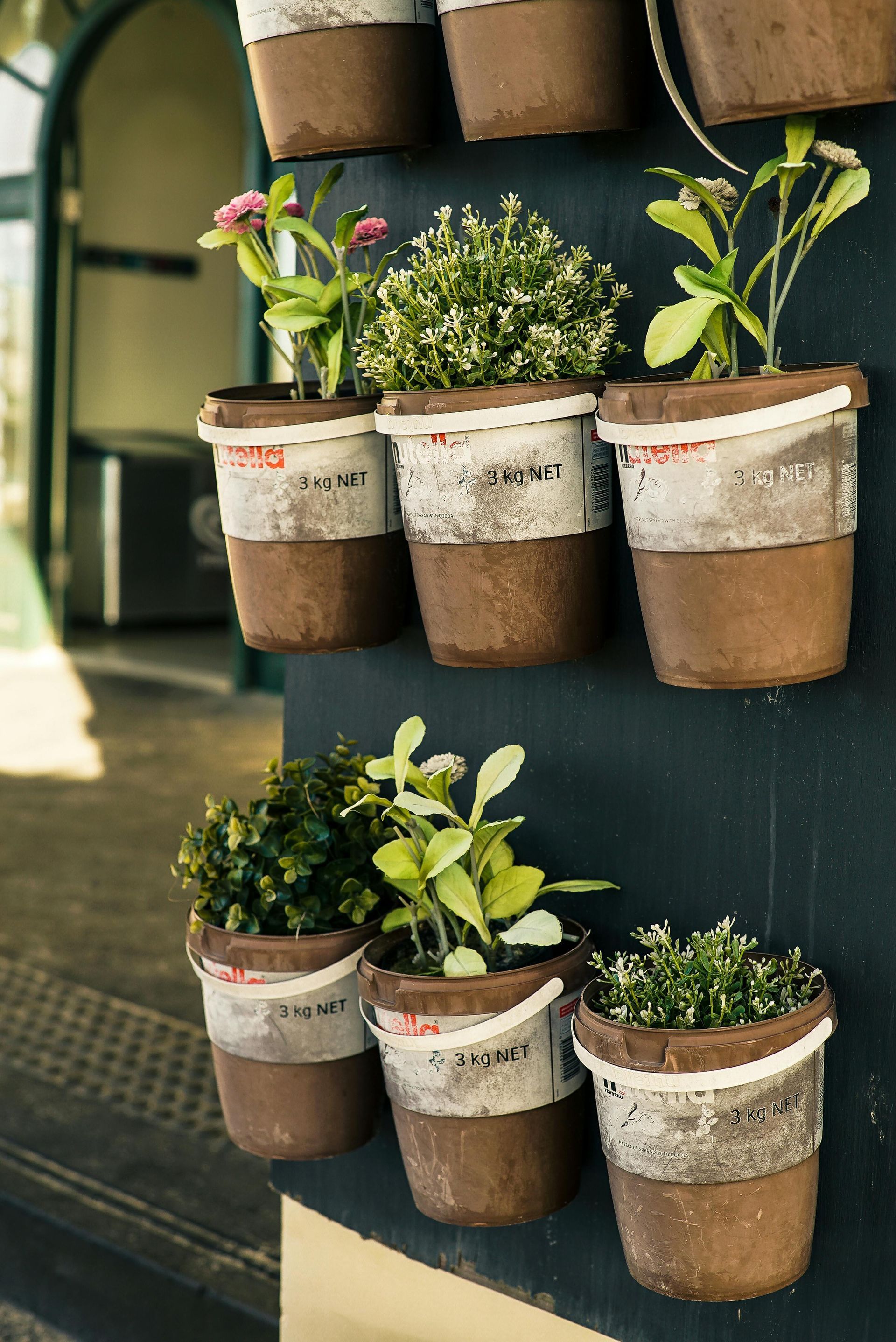 Wall-mounted planters with various green plants and flowers. Brown and white pots against a dark wall.