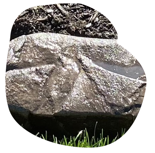 Boise Stone