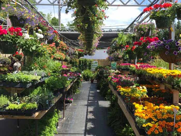 Garden Supplies — Garden Plants in Easley, SC