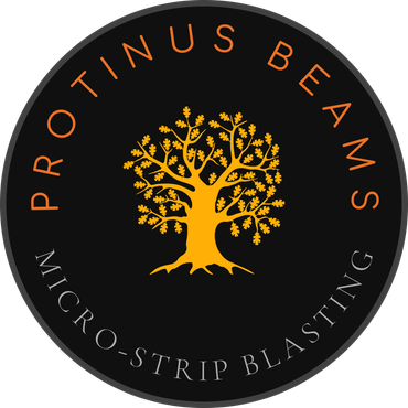 Protinus Beams - Micro Strip Blasting - Logo