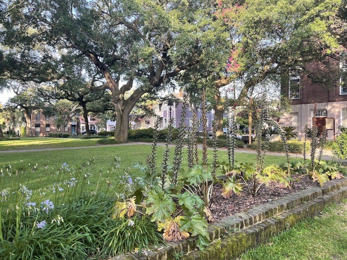 A view looking southwest in Greene Square in Savannah