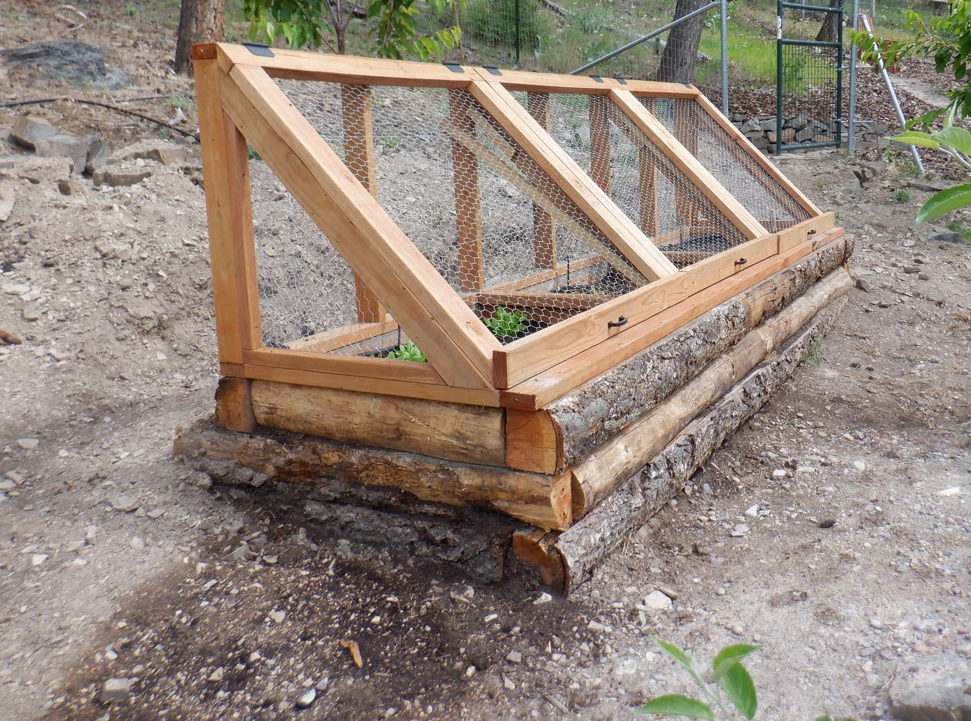 Wooden raised garden bed with hinged lid made of wood and wire mesh on a hillside.