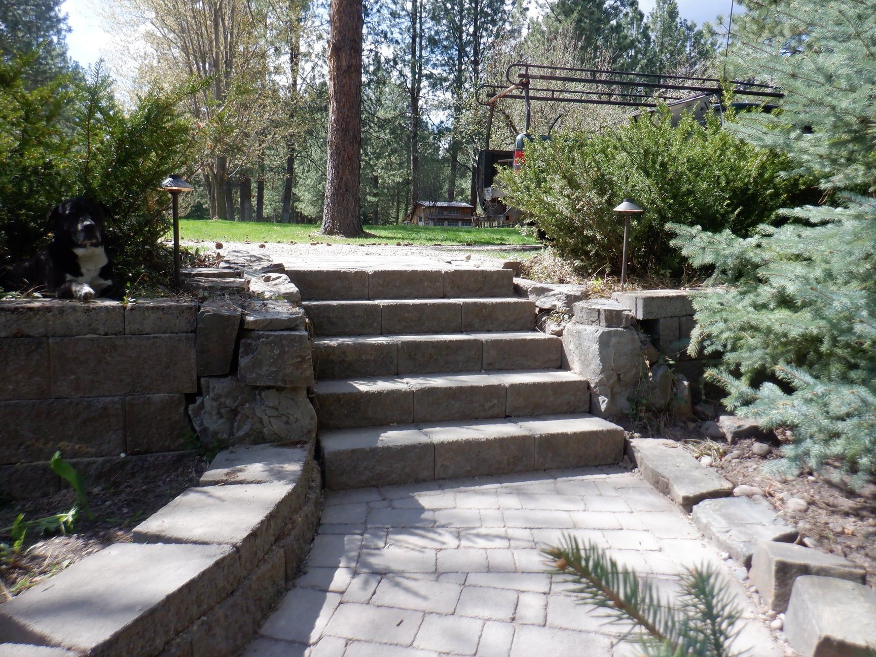 Stone steps leading up, flanked by retaining walls with greenery in a garden setting.