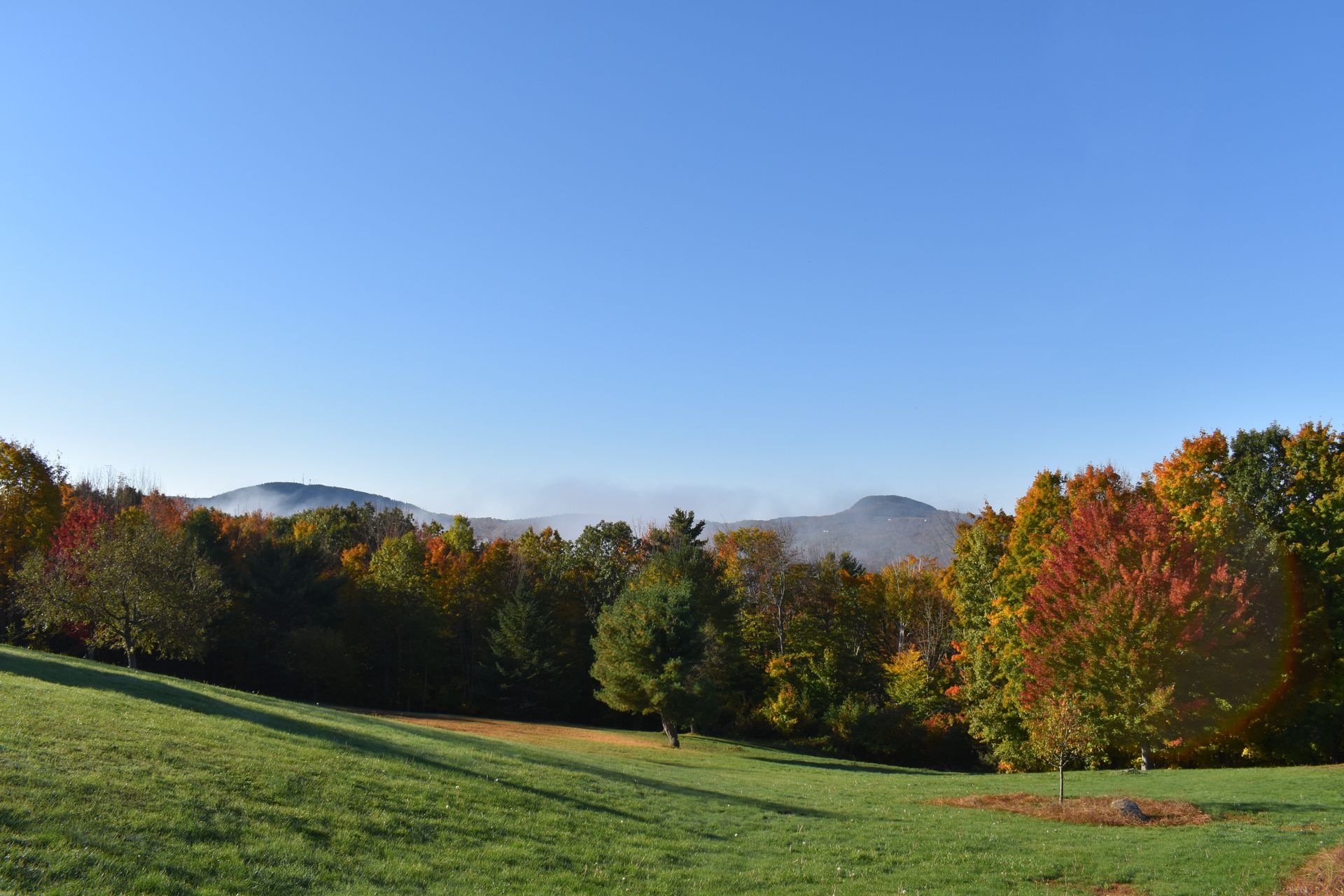 A field with trees and mountains in the background on a sunny day.