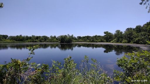 A calm, blue lake surrounded by green trees under a clear, blue sky.