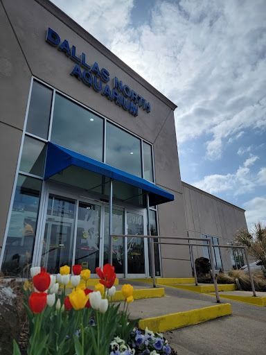 Dallas North Aquarium entrance with a blue awning, tulips, and a cloudy sky.