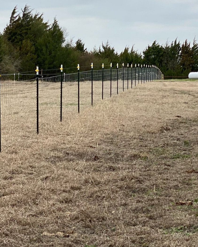 A fence surrounds a dry grass field with trees in the background.