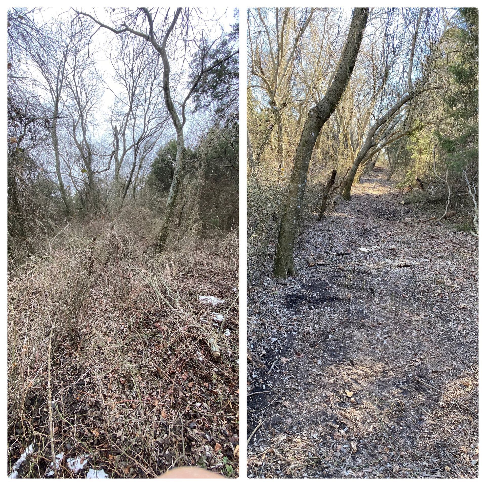 A before and after picture of a path in the woods.