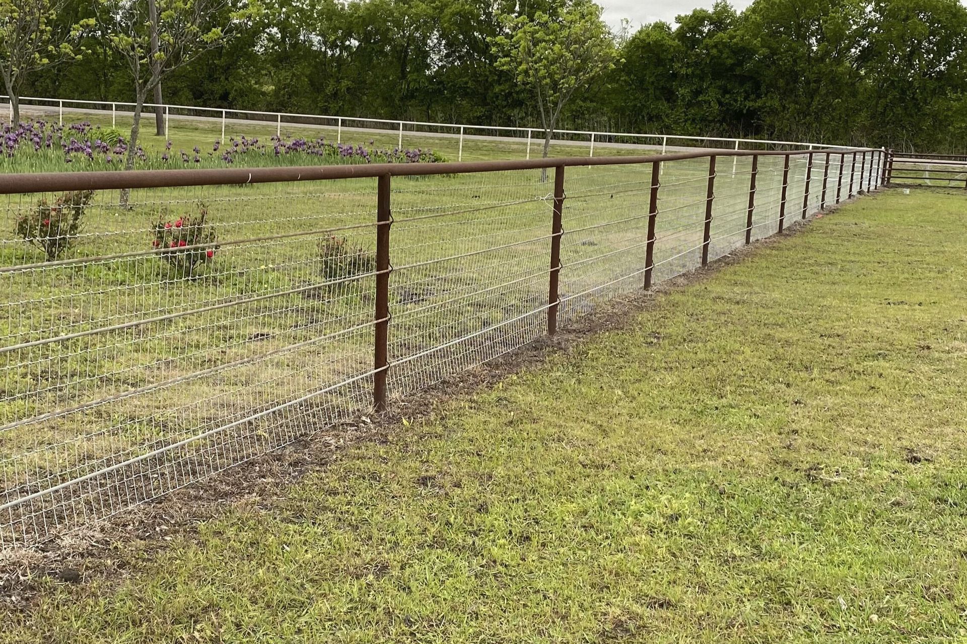 A chain link fence surrounds a grassy field with trees in the background.