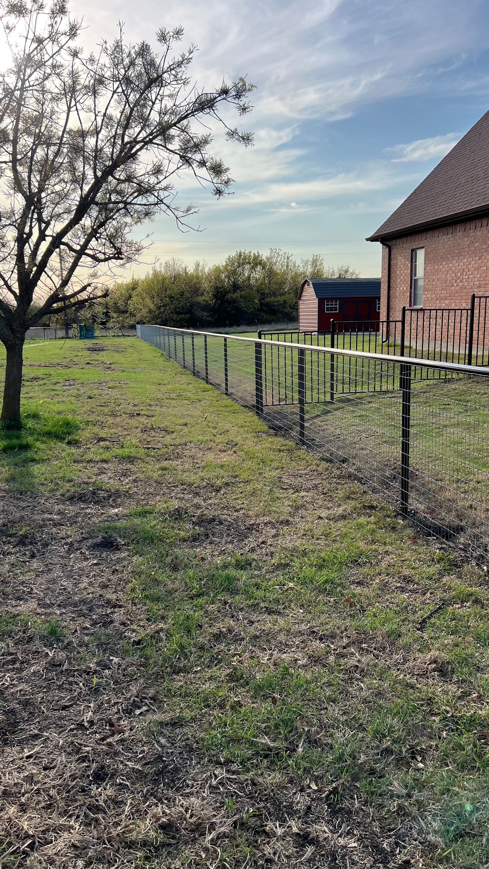 Metal fence borders a grassy area near a brick building and a tree under a blue sky.