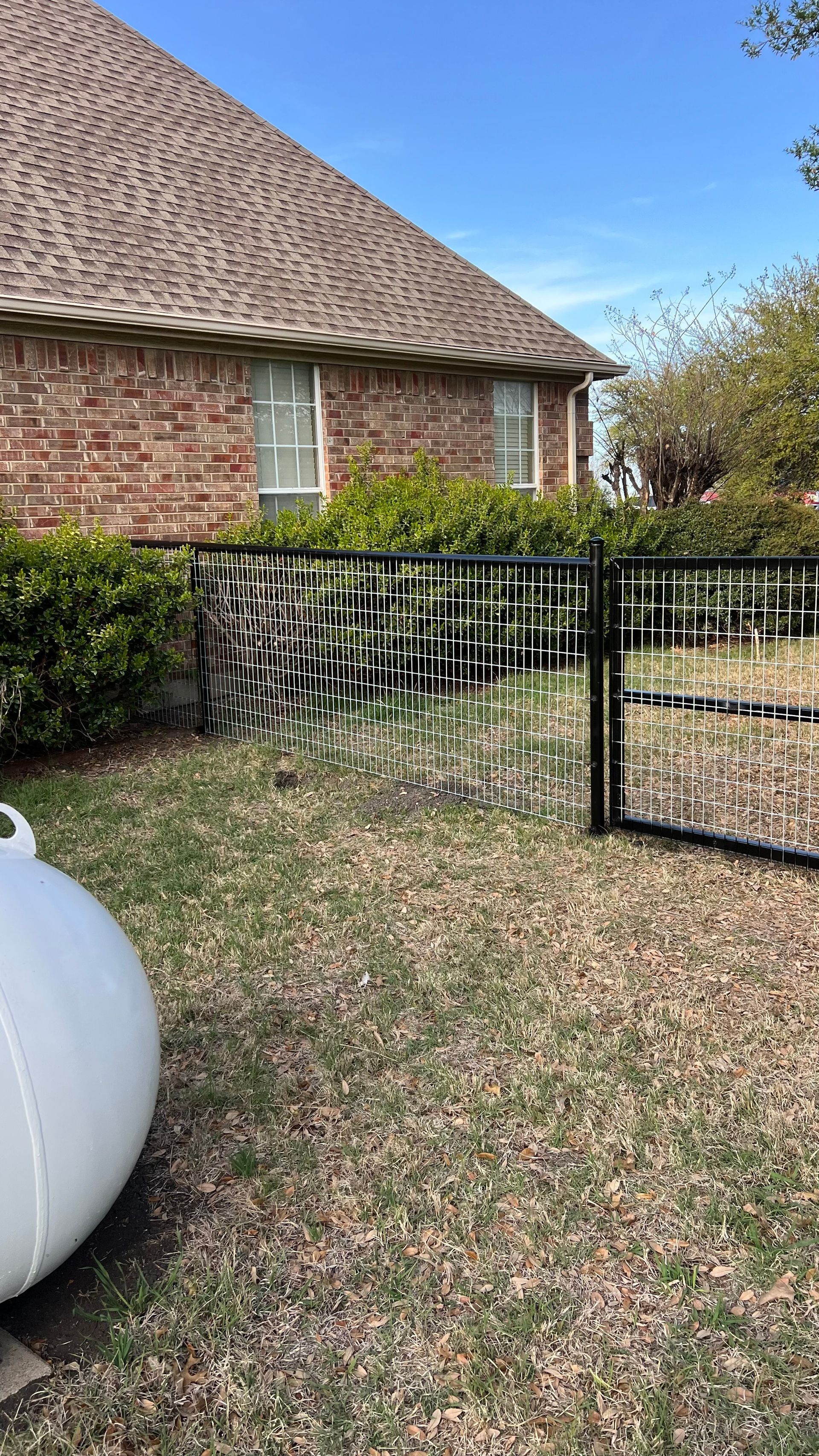 Backyard with brick house, black fence, green bushes, propane tank, and brown grass.