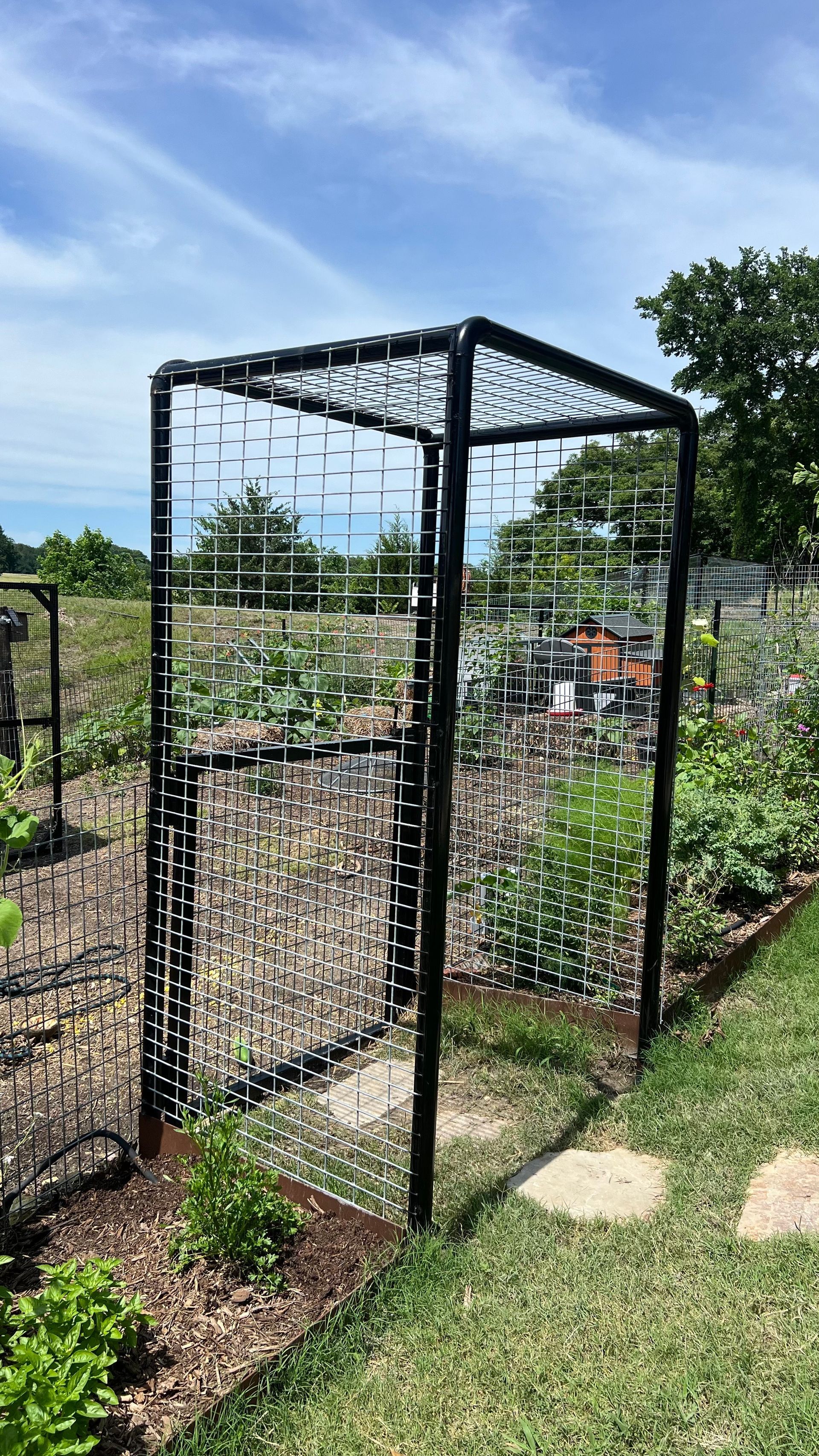 Black metal garden trellis in a raised bed garden on a sunny day.