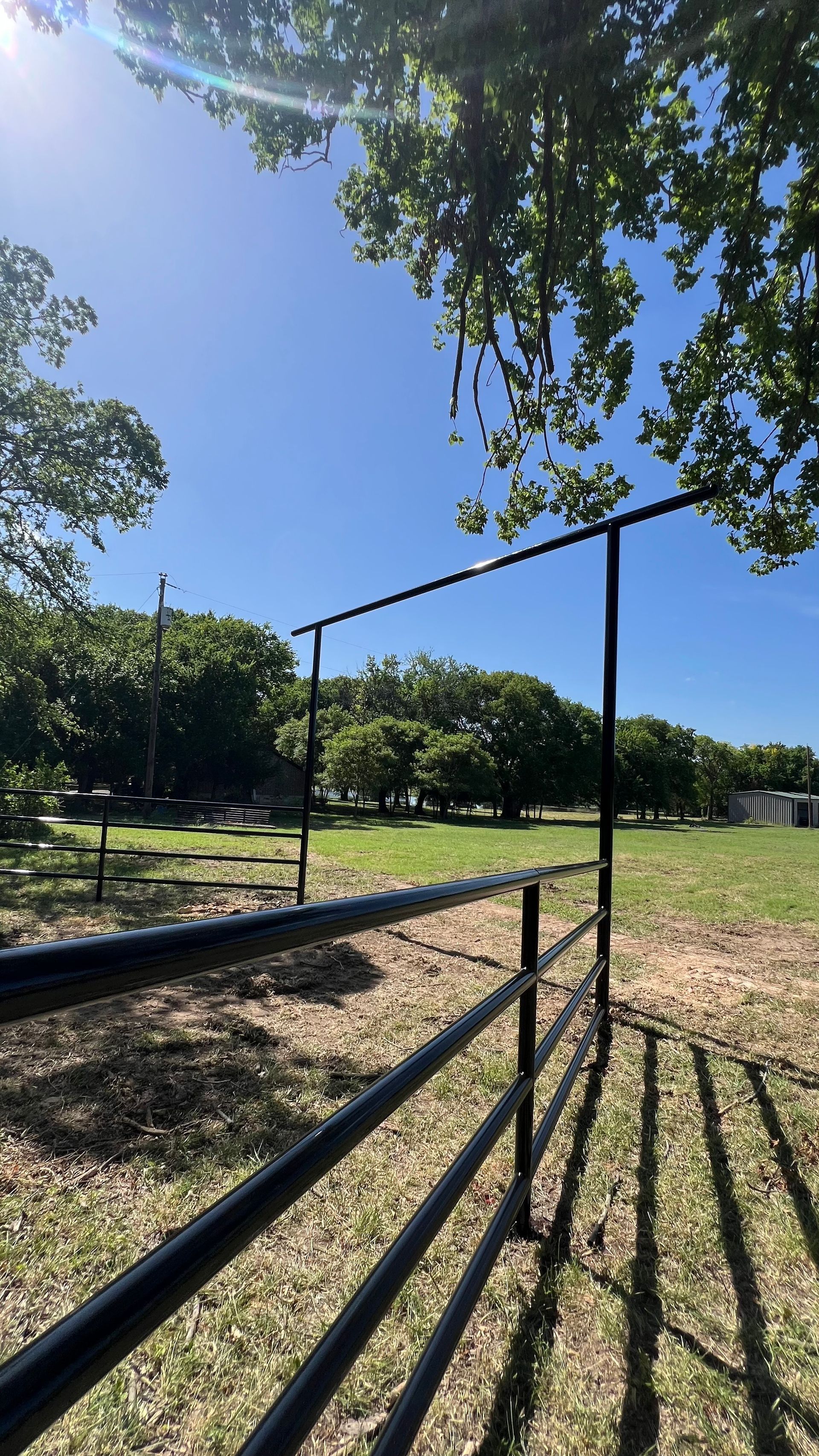 Black metal fence in a grassy field with trees in the background and a blue sky.