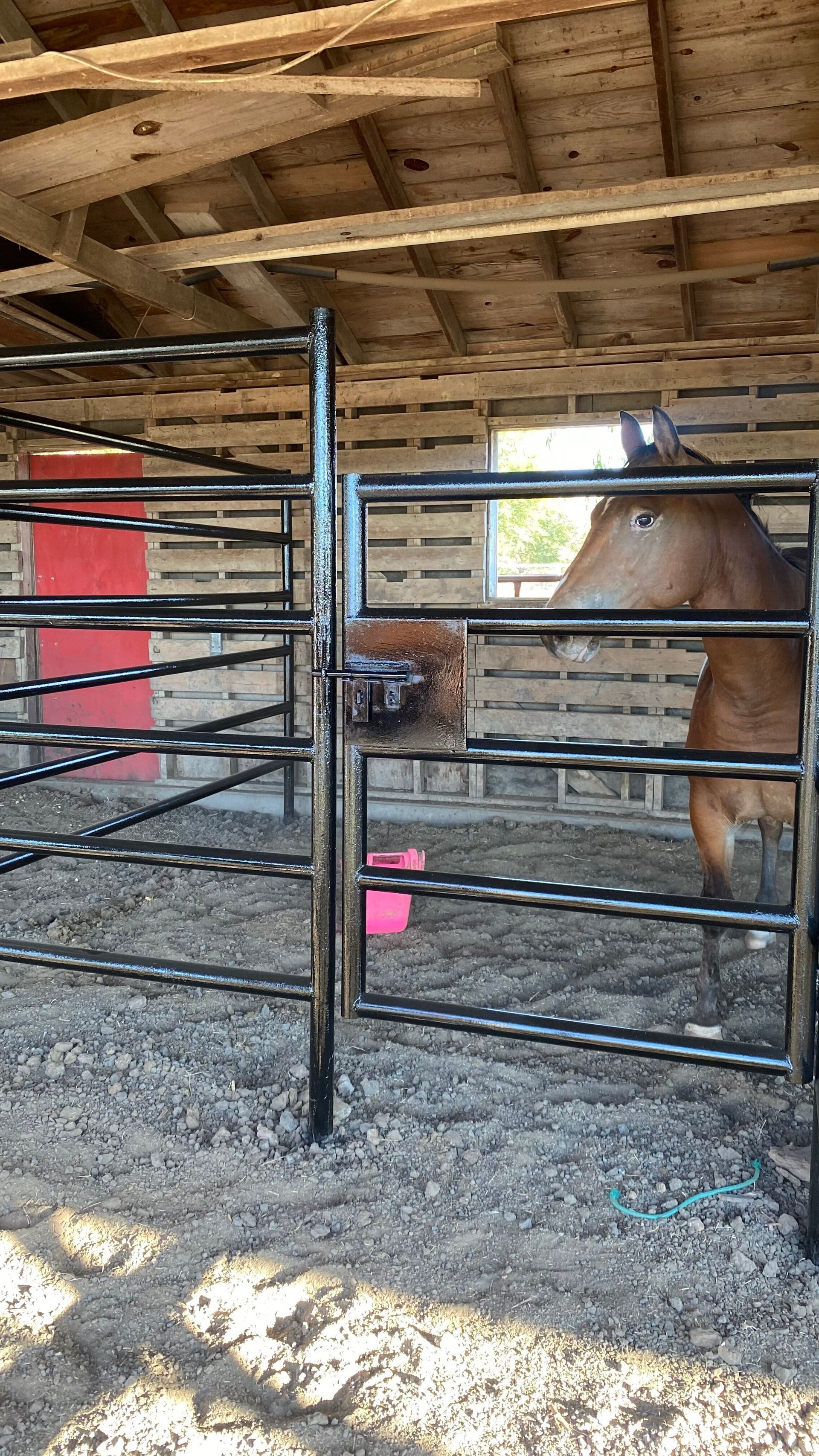 A horse is standing in a fenced in area in a barn.