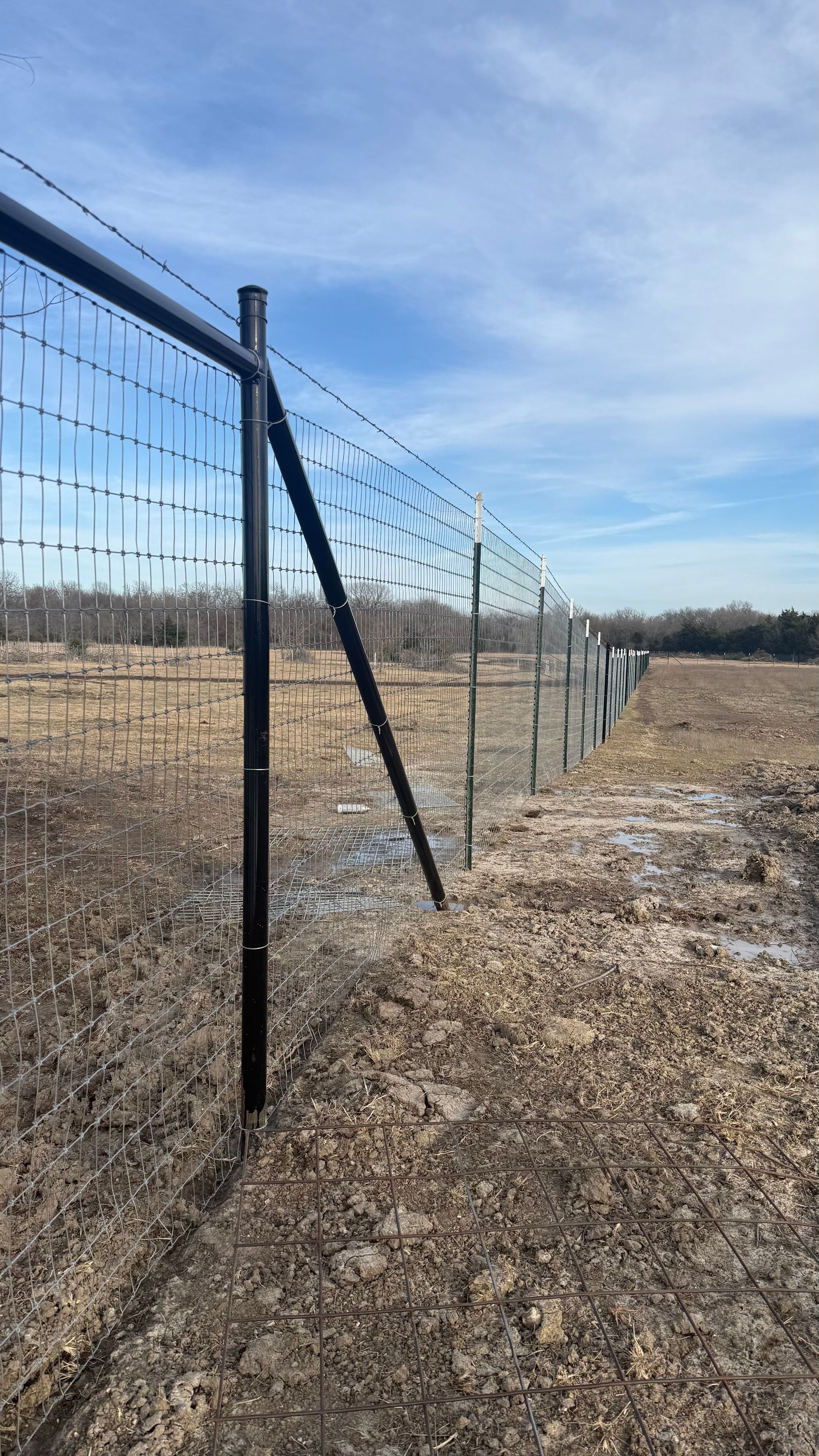 A black metal fence with wire mesh and a top strand of barbed wire extends into a dry, open field under a blue sky.