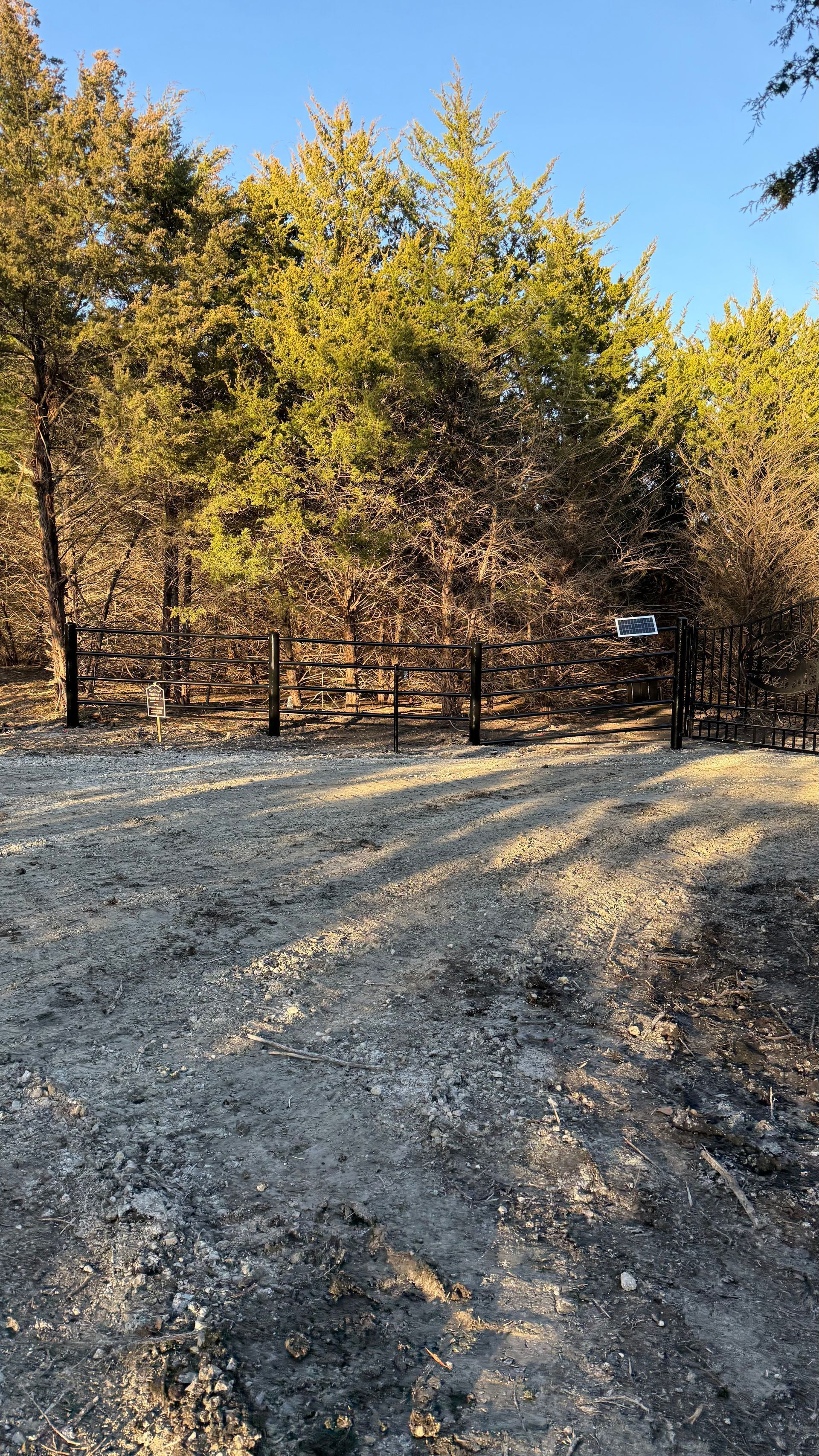 A gravel path leads to a wooden fence bordered by a line of evergreen trees against a clear blue sky.