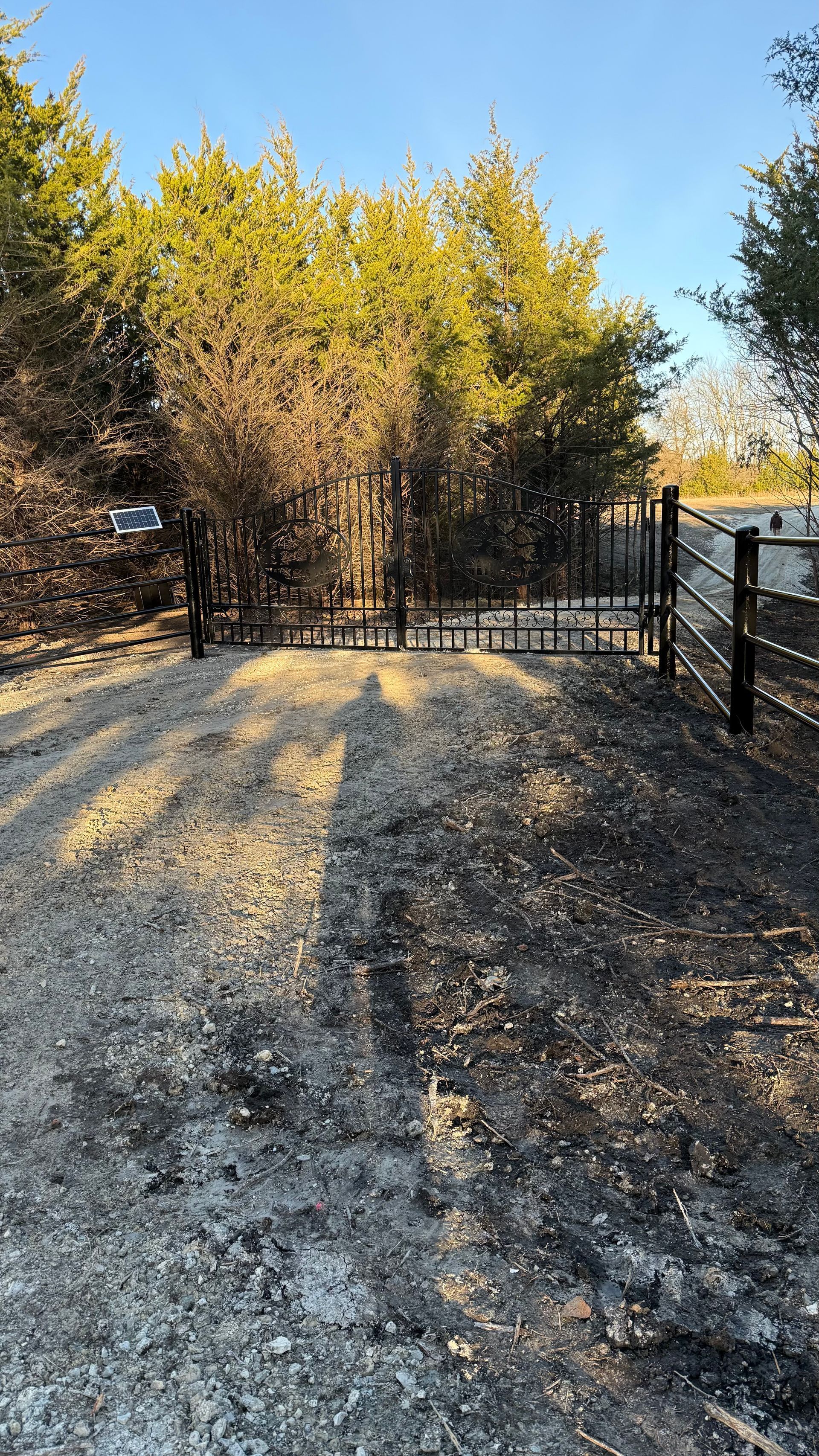 A gravel driveway leads to a metal gate bordering a line of trees under a clear, bright blue sky.