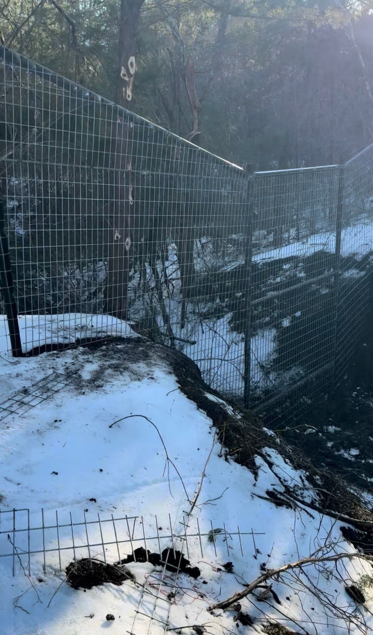 A metal wire fence on a snowy, sloped terrain leading toward a wooded area.