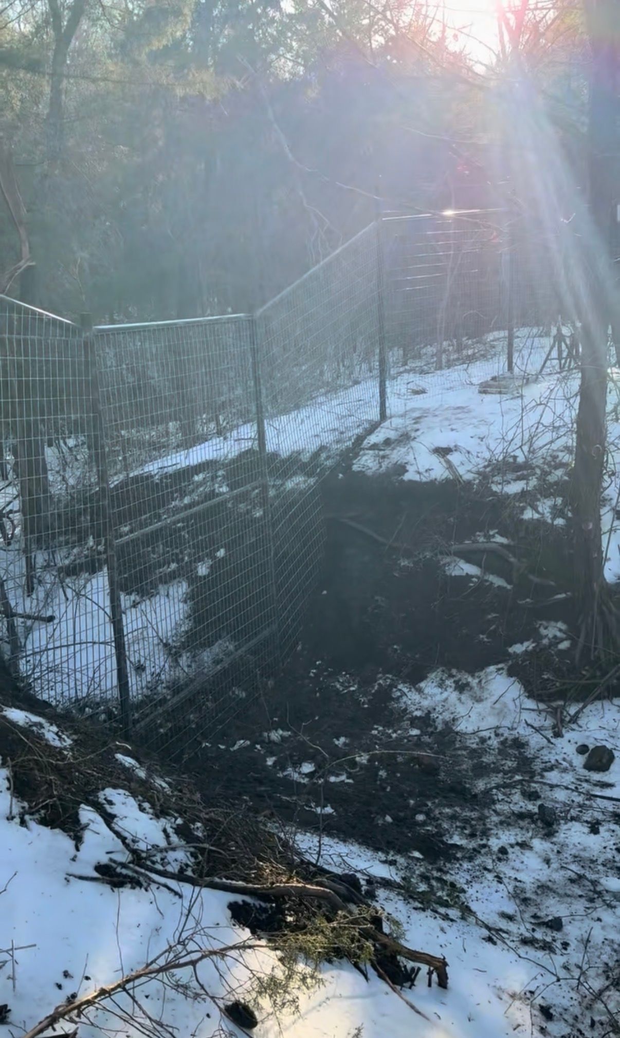 A section of metal wire fence collapses into a muddy, snow-covered gully in a wooded area under bright, hazy sunlight.