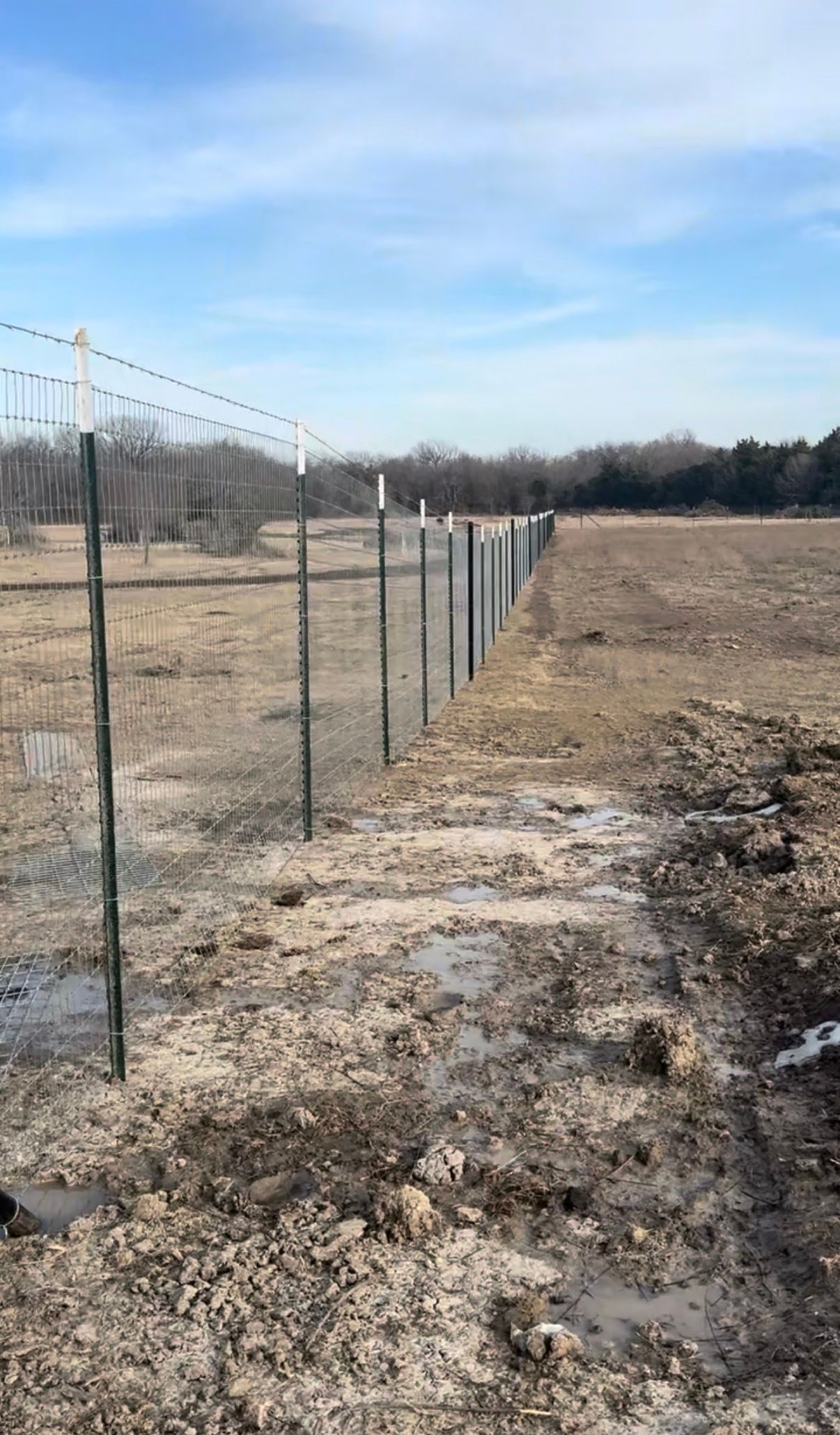 A long wire fence with metal posts stretches across a muddy field under a bright blue sky.